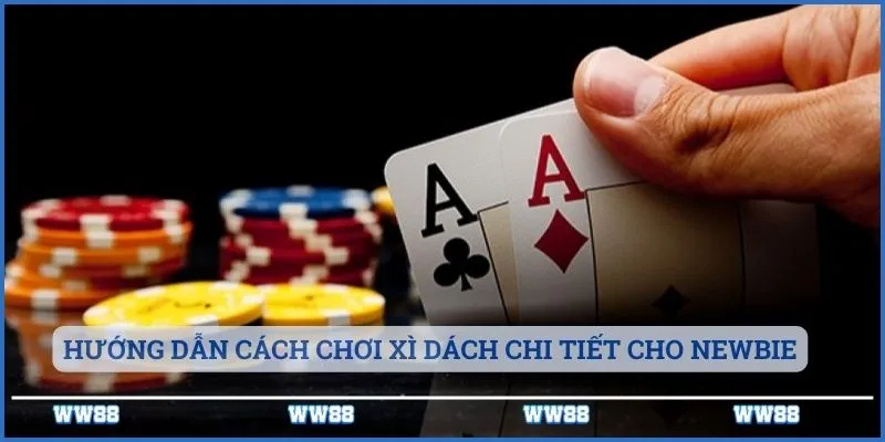 Cách Chơi Xì Dách Chi Tiết Từ A Đến Z Tại WW88 3 Hướng dẫn cách chơi xì dách chi tiết cho newbie