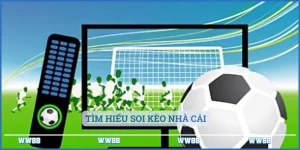 Chơi Thông Minh Với Soi Kèo Nhà Cái - Chiến Lược Đặt Cược Hiệu Quả