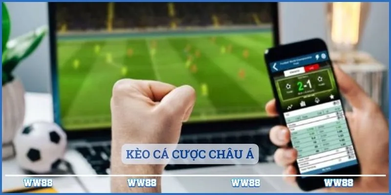 Soi Kèo Nhà Cái - Nơi Cá Cược Tuyệt Vời Uy Tín Nhất 3 Kèo cá cược châu Á